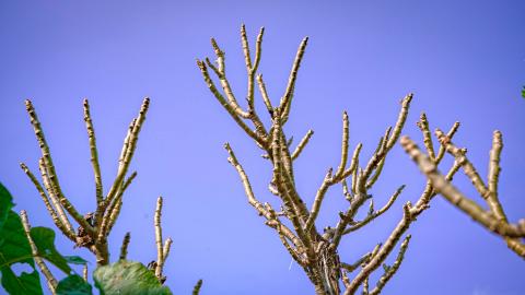 Even in Stillness, Growth Awaits.